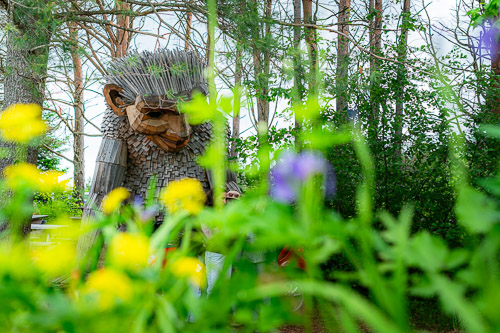 The Wild Center - Trolls   |  Tupper Lake, NY - Jun 2026